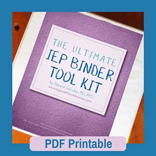 The Ultimate IEP Organizer for Special Ed Parents | Special Needs Products